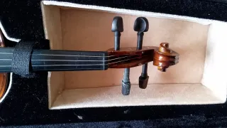 Violín con estuche y arco