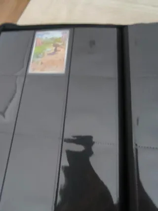 Álbum Pokémon Fuegos Fantasmales Completo (INGLÉS)