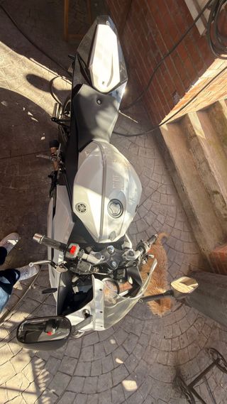 Yamaha YZF-R 125 2016 R125