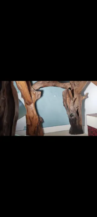 Mesa y Butaca Madera Olivo diseño único.