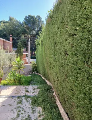 Jardinero particular