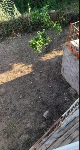 Jardinero particular