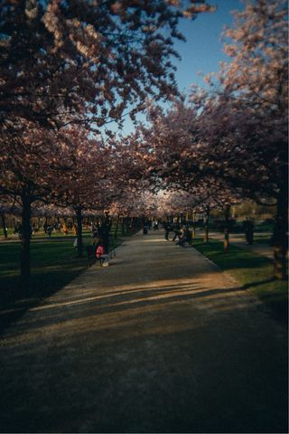 Obiettivo Pixl Prime Sony E mount 23mm f10