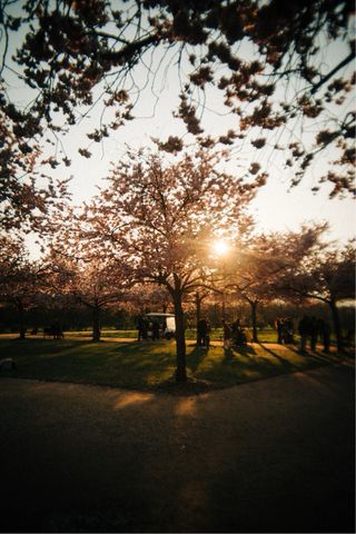 Obiettivo Pixl Prime Sony E mount 23mm f10