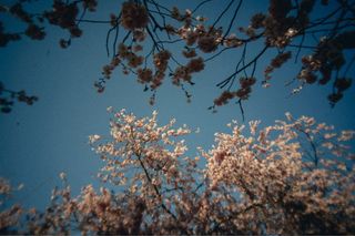 Obiettivo Canon RF Mount