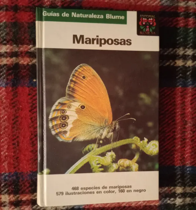 Mariposas