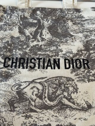 Borsa Tote Dior Toile de Jouy Beige/Grigio