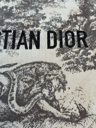 Borsa Tote Dior Toile de Jouy Beige/Grigio