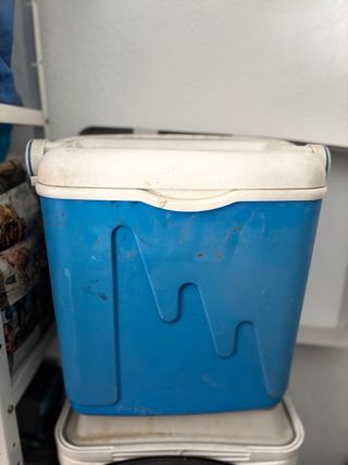 Nevera portátil azul y blanca