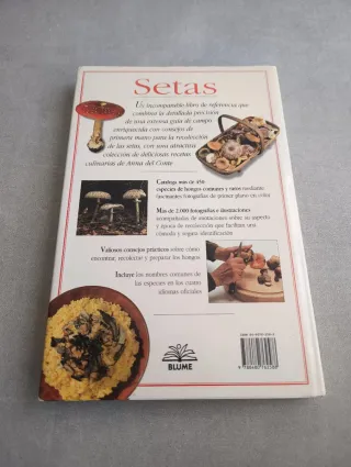 SETAS. THOMAS LAESSOE Y ANNA DEL CONTE. BLUME