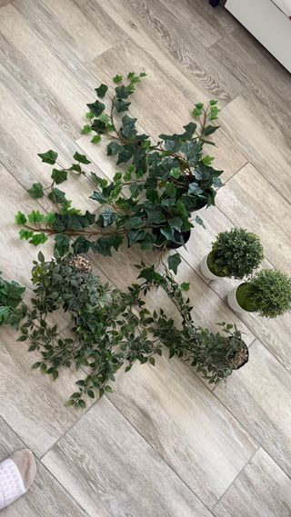 Plantas artificiales decorativas