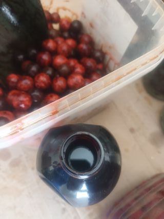 Boilies Betain Mix Carpfishing 3kg