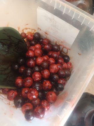 Boilies Betain Mix Carpfishing 3kg