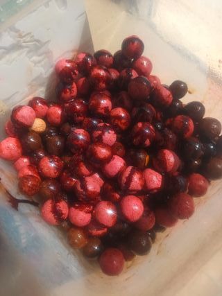 Boilies Betain Mix Carpfishing 3kg