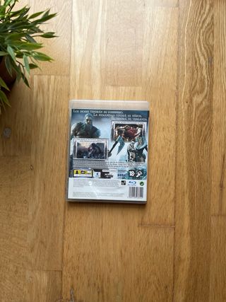 Viking Battle for Asgard PS3