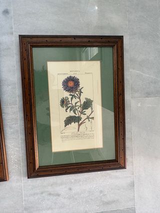 Cornici per foto in legno e vetro