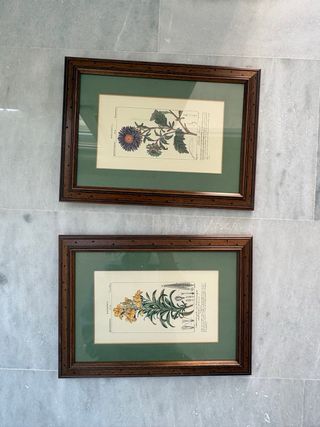 Cornici per foto in legno e vetro