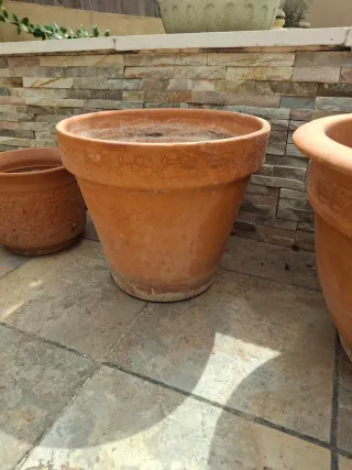 Lote Macetas Terracota y Plástico