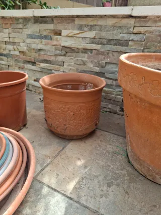 Lote Macetas Terracota y Plástico