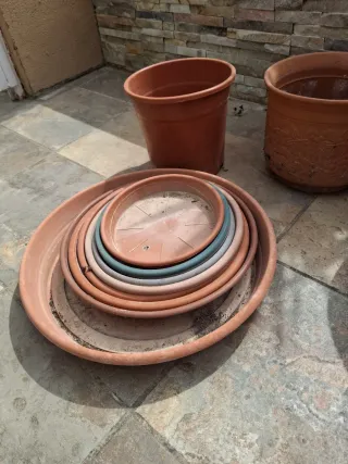 Lote Macetas Terracota y Plástico