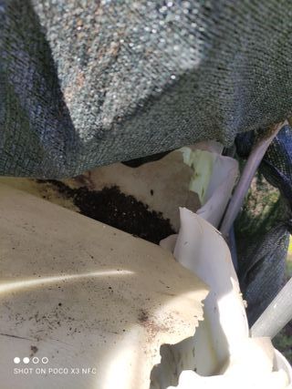 Depósito agua 1000L IBC