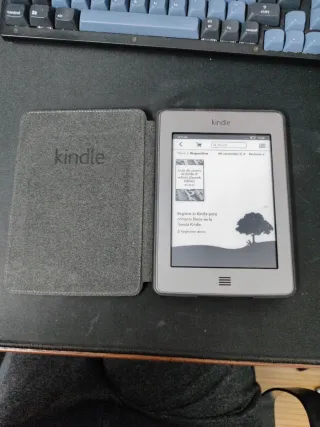 Amazon Kindle touch 4 Gris