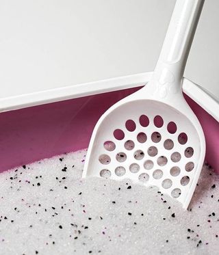 Arena para gatos con carbón activo