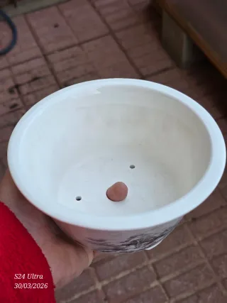 Maceta de porcelana para bonsái