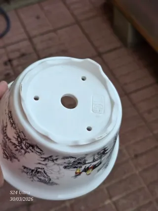 Maceta de porcelana para bonsái