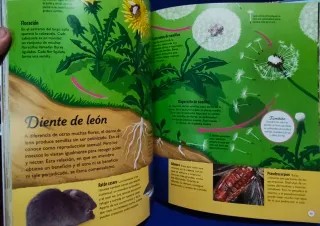 Los ciclos de la vida: Todo, desde el principio...