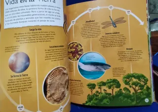 Los ciclos de la vida: Todo, desde el principio...