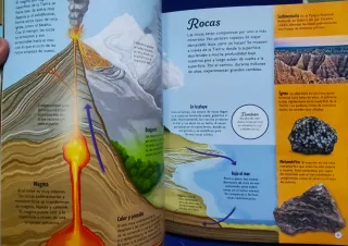 Los ciclos de la vida: Todo, desde el principio...