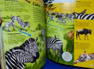 Los ciclos de la vida: Todo, desde el principio...