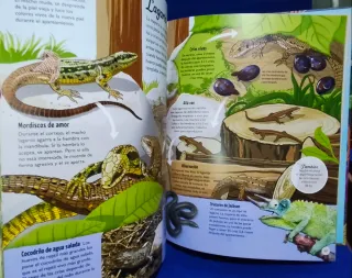 Los ciclos de la vida: Todo, desde el principio...