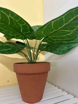 Planta Artificial Decorativa