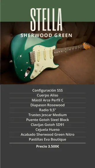 Guitarra Fender Stratocaster de Luthier (Rossi)