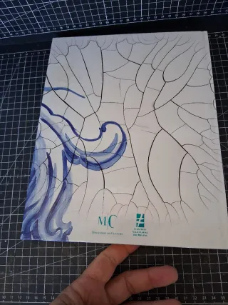 Adriana Varejão chambre d'échos