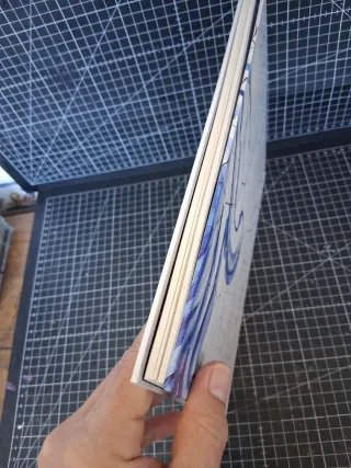 Adriana Varejão chambre d'échos