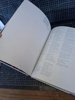 Adriana Varejão chambre d'échos