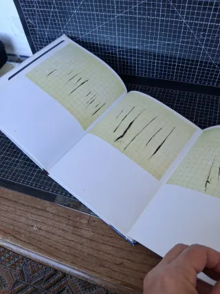 Adriana Varejão chambre d'échos