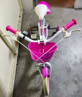 Bicicleta niña rosa 4-8 años
