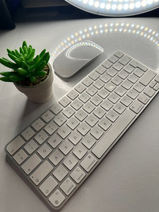 Pacchetto Apple Tastiera + Mouse