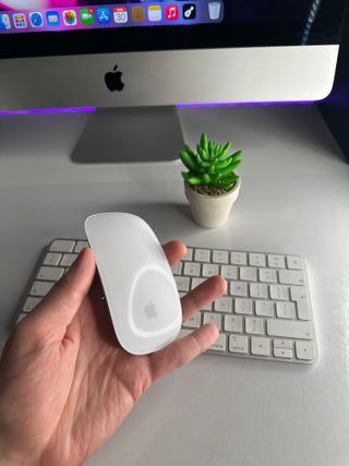 Pacchetto Apple Tastiera + Mouse