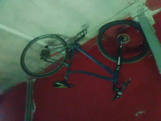 Bicicleta de montaña