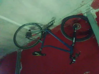 Bicicleta de montaña