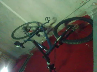 Bicicleta de montaña