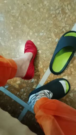 Friulane per casa 40