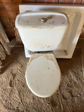 Tazas y lavabos Roca