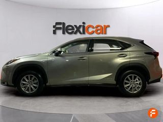 Lexus NX 2.5 300h Corporate 2WD + Navibox