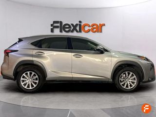 Lexus NX 2.5 300h Corporate 2WD + Navibox